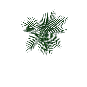 small palm4